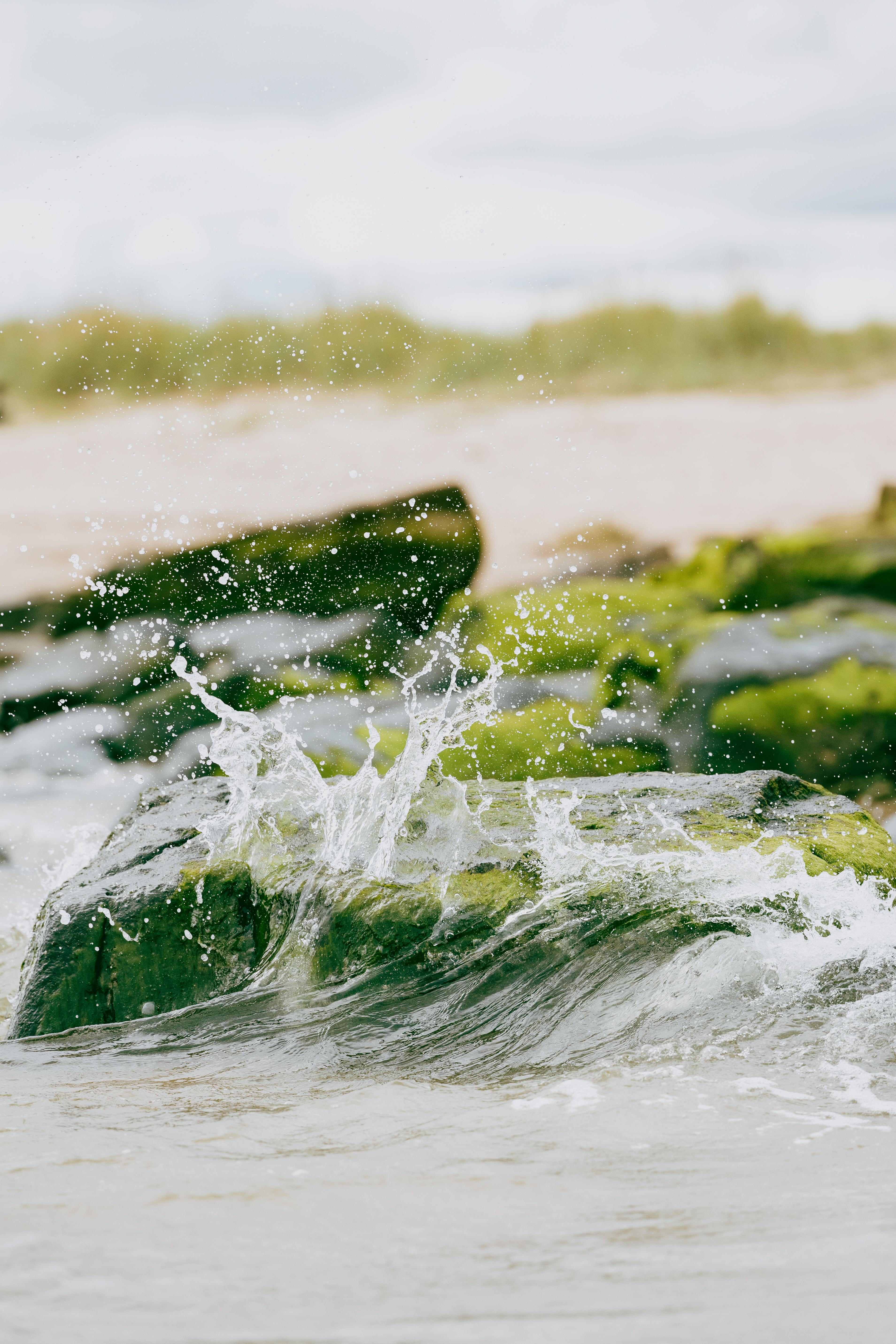 Готель Dornoch Station Екстер'єр фото Seaweed